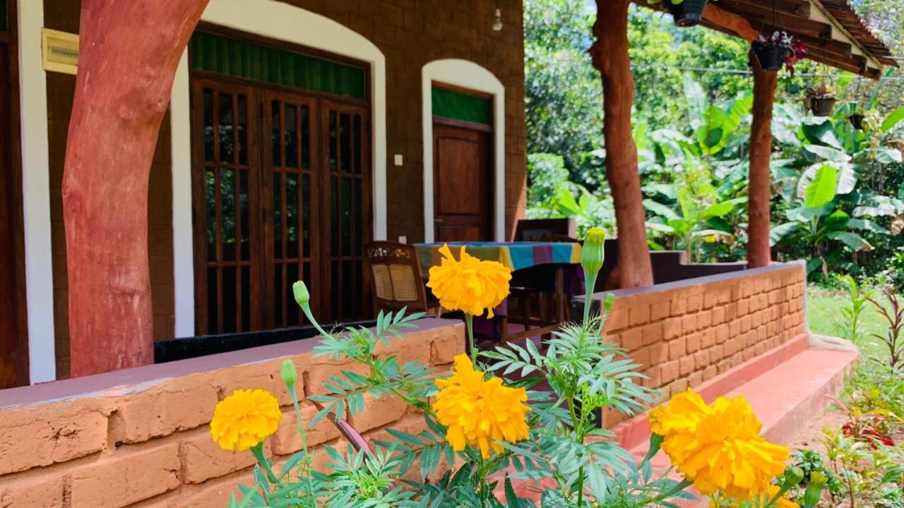 Sigiriya Chena Villa Kültér fotó